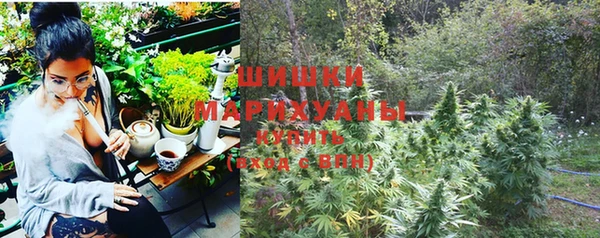 ГАЛЛЮЦИНОГЕННЫЕ ГРИБЫ Балабаново
