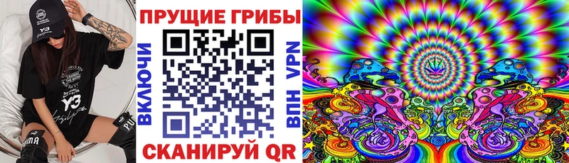 blacksprut   мориарти Telegram  Галлюциногенные грибы Psilocybe  Георгиевск 